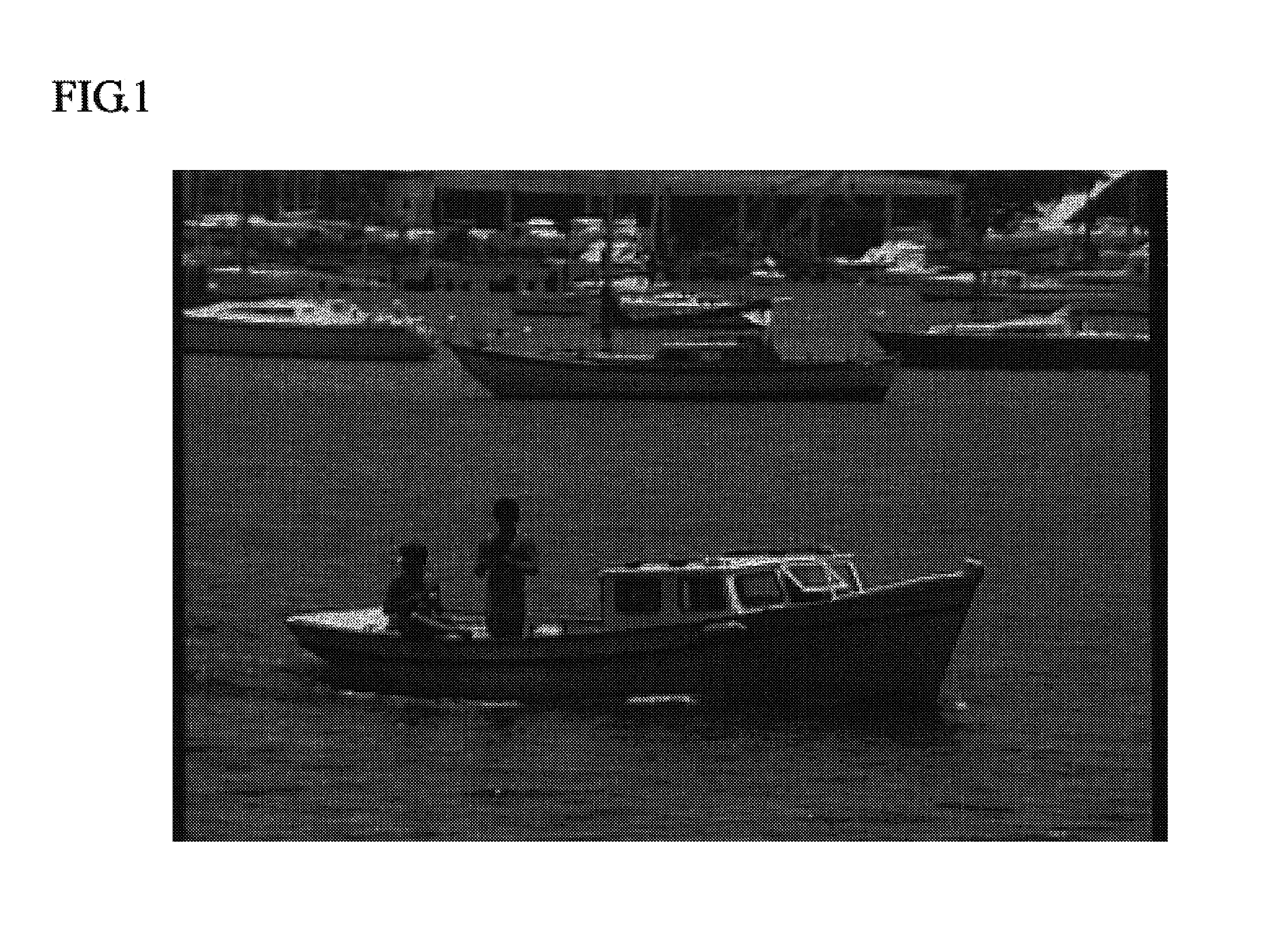 Video sequences correlation and static analysis and scene changing forecasting in motion estimation