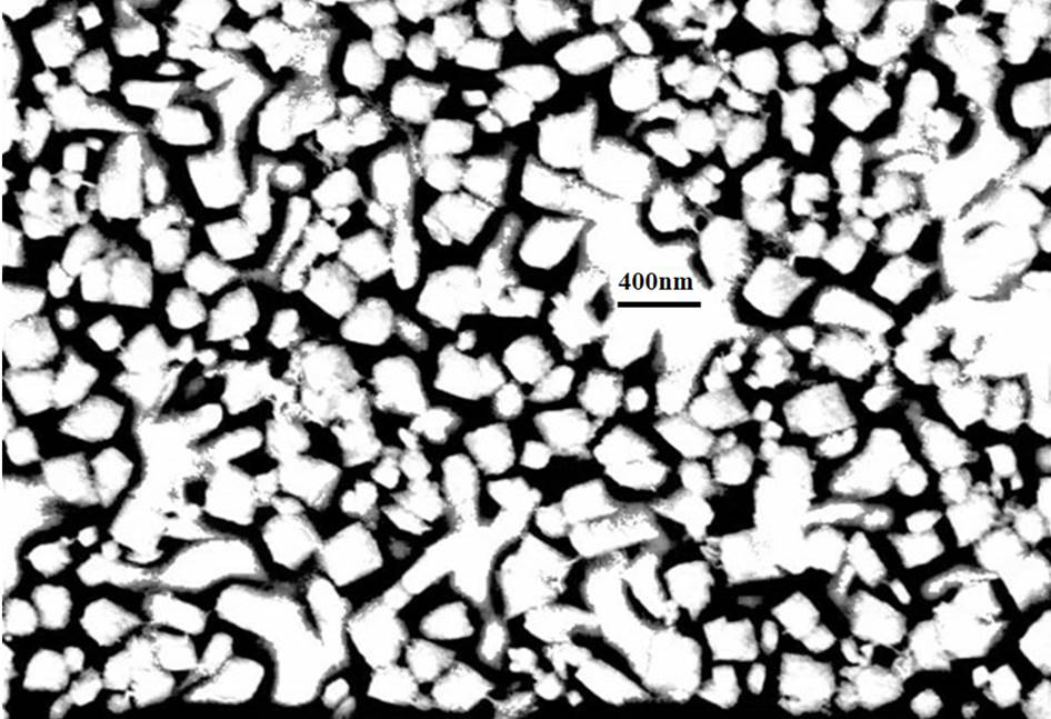 Carbon-doped titanium dioxide polarized homojunction photoelectrocatalysis anode material and preparation method thereof