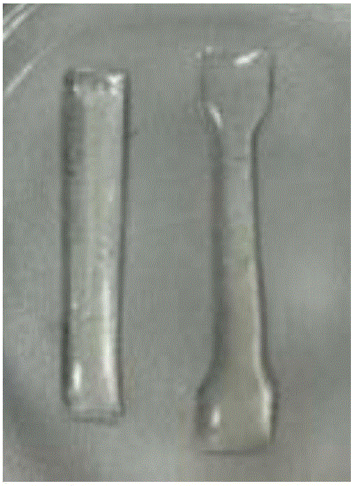 Method for improving mechanical properties of polycaprolactone-based biological elastomer