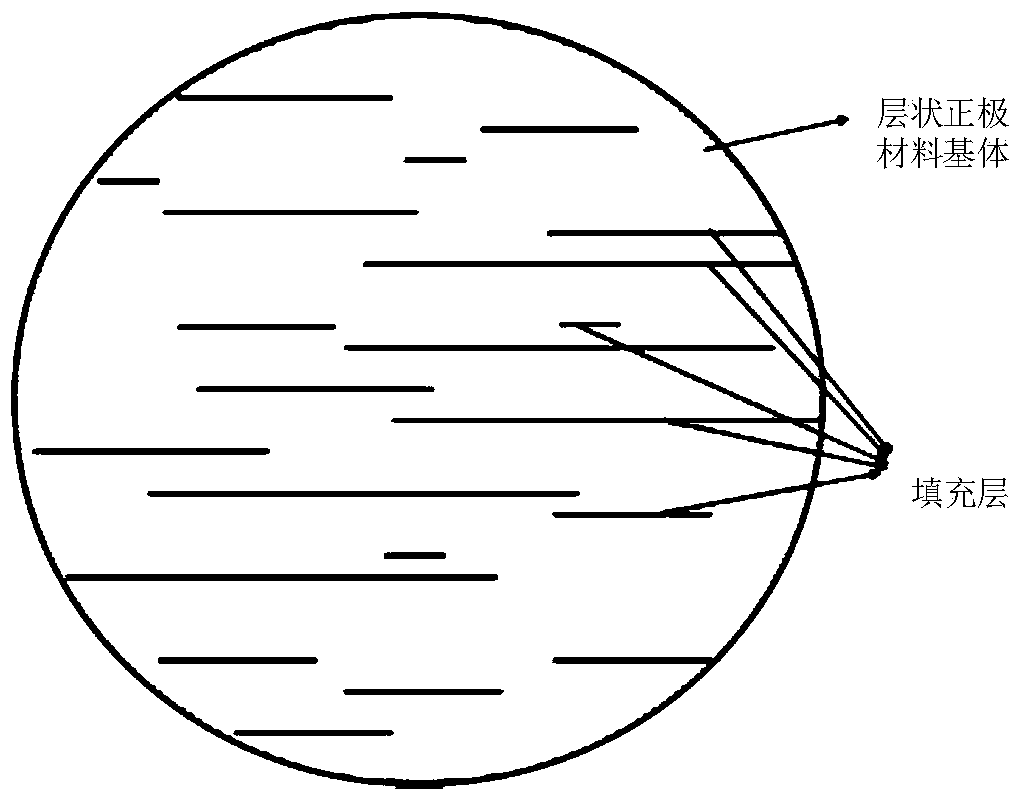 Lithium ion battery positive electrode material and preparation method