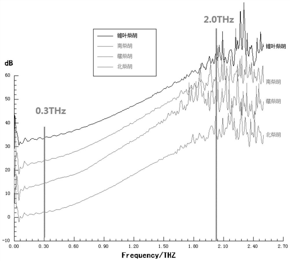 Method for identifying variety and authenticity of radix bupleuri based on terahertz spectrum technology