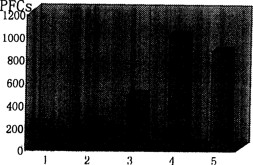 Bursopoietin extracting method and its use in disease treating and immune