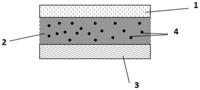 Antibacterial and hypoallergenic adult paper diapers and preparation method thereof