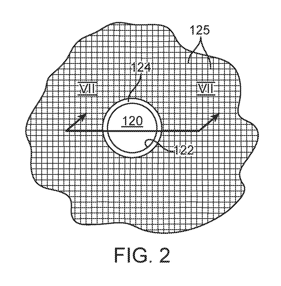 Graft material having selectively advanced permeability structure and method