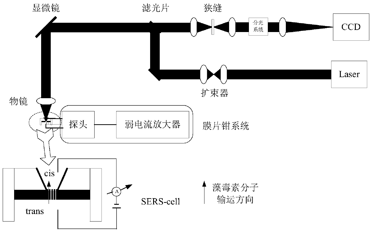 A porous array electromagnetic field-enhanced SERS device for trace microcystin detection, preparation method and detection method