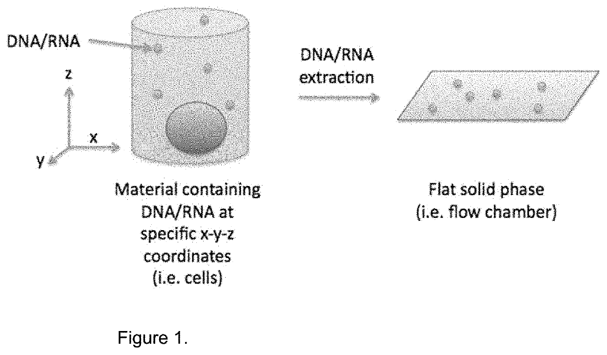 Method for Generating A Three-Dimensional Nucleic Acid Containing Matrix