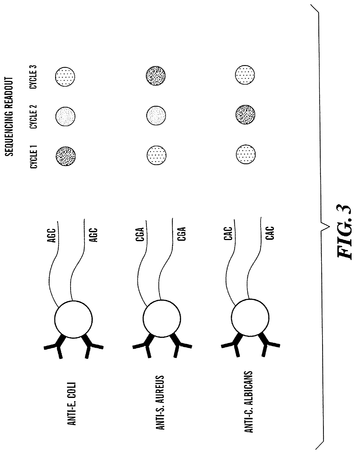 Method for Generating A Three-Dimensional Nucleic Acid Containing Matrix