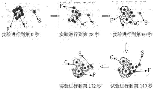 Search algorithm and verification method for swarm robots based on physarum polycephalum foraging