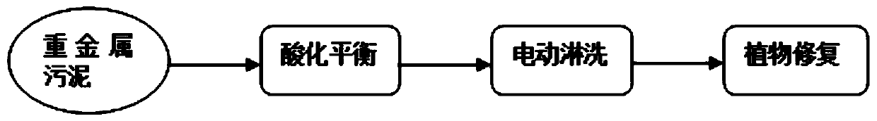 Method for removing heavy metals in sludge