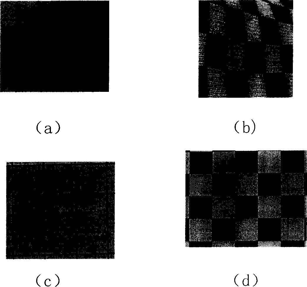 Three-dimensional foot type measuring and modeling method based on specific grid pattern