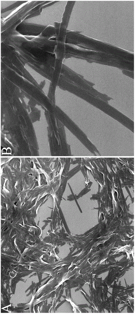 One-dimensional organic semiconductor nanowire with fluorescence and photoconduction dual response for organic amine gas as well as preparation method and application of nanowire