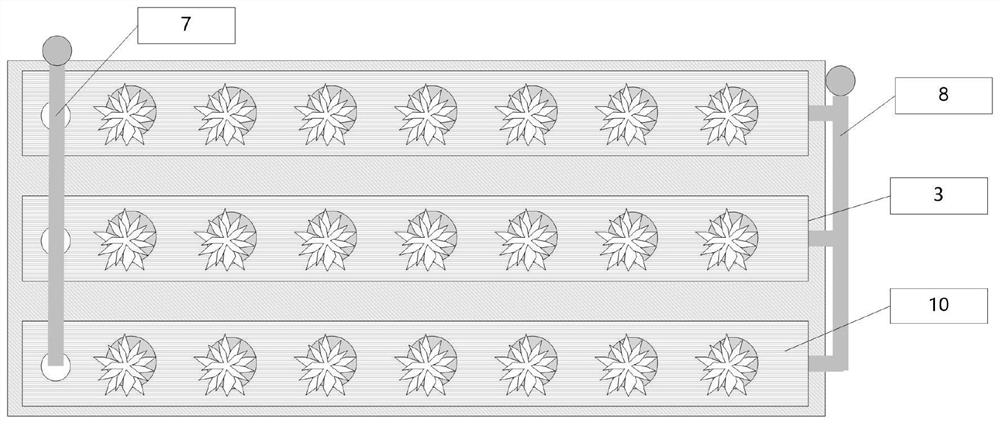 A method and device for hydroponic high-yield seedling cultivation of pinellia