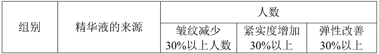 Anti-wrinkle and anti-aging skin care composition and preparation method and application thereof