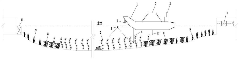 Submerged plant community rapid monitoring system and regulation and control method