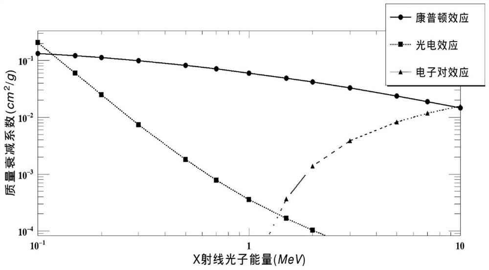 Ray inspection system and scattering correction method