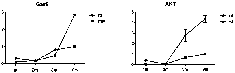 A composition for improving the effect of gene therapy for retinal degenerative diseases and its application