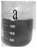 Preparation method of magnetically separable photocatalyst nano-eu3+-cofe2o4 powder