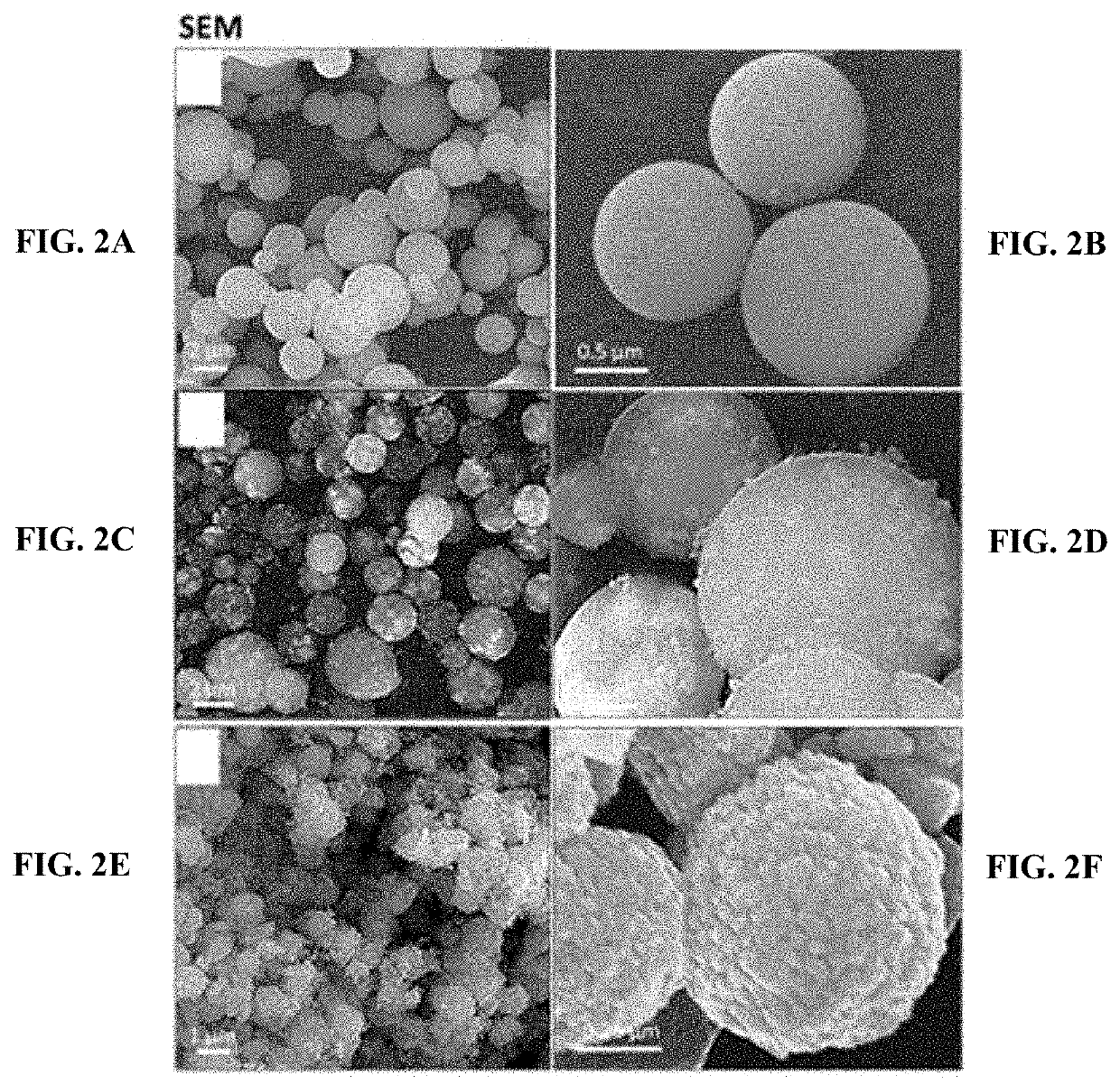 Iron oxide mesoporous microparticle drug carrier