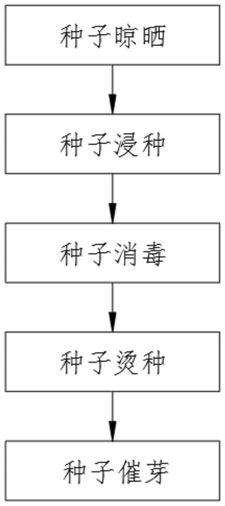 Vegetable seed germination accelerating method and device