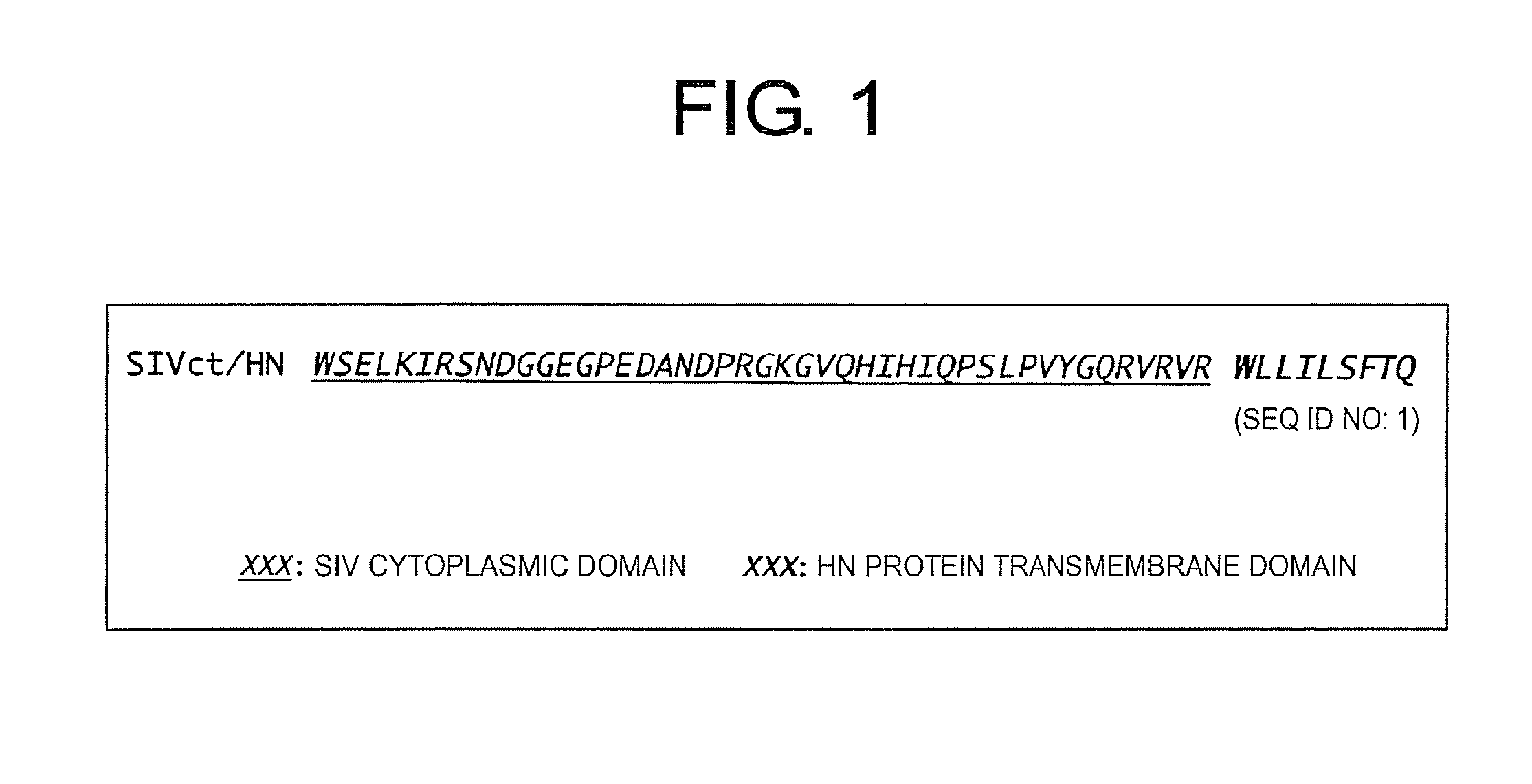 Gene transfer into airway epithelial stem cell by using lentiviral vector pseudotyped with RNA virus or DNA virus spike protein