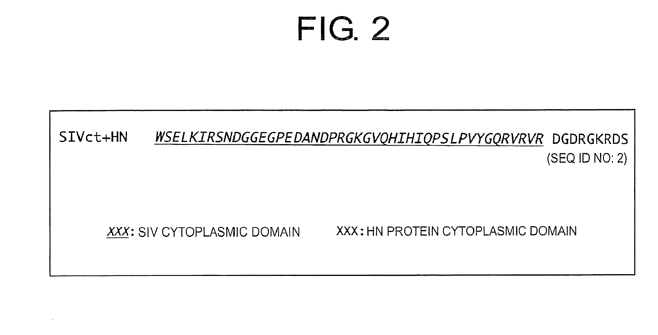 Gene transfer into airway epithelial stem cell by using lentiviral vector pseudotyped with RNA virus or DNA virus spike protein