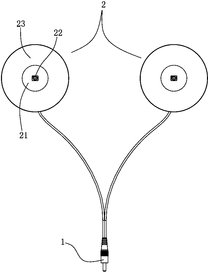 Single point type whelk removal device