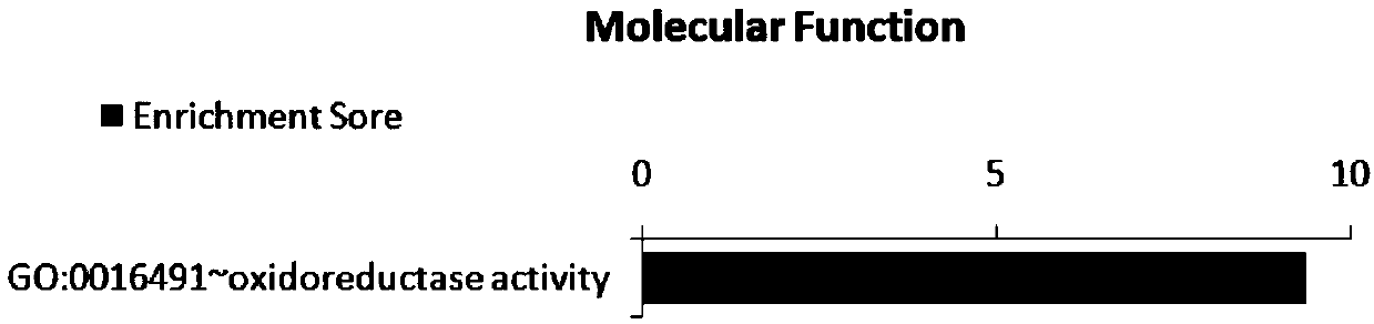 Application of SNP bite of CLIP3 gene