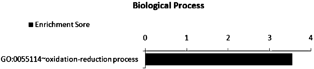 Application of SNP bite of CLIP3 gene