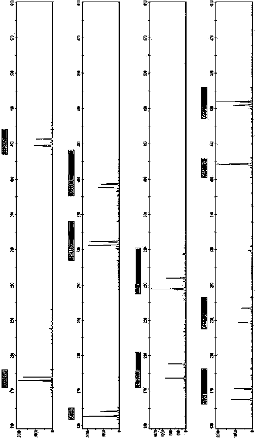 New short nucleotide tandem repeat site and application thereof