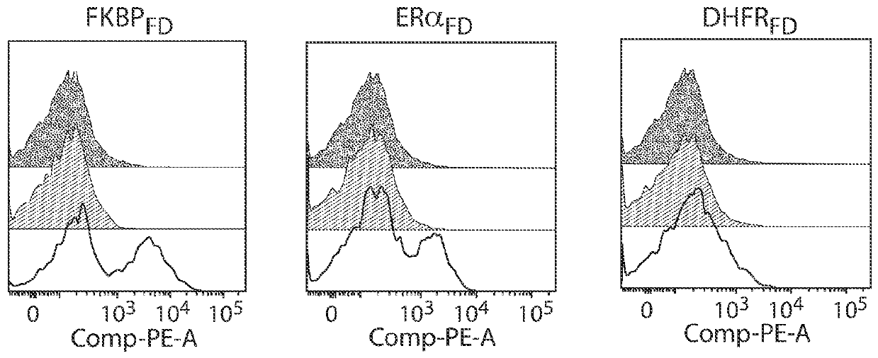 Compositions and methods for selective protein expression