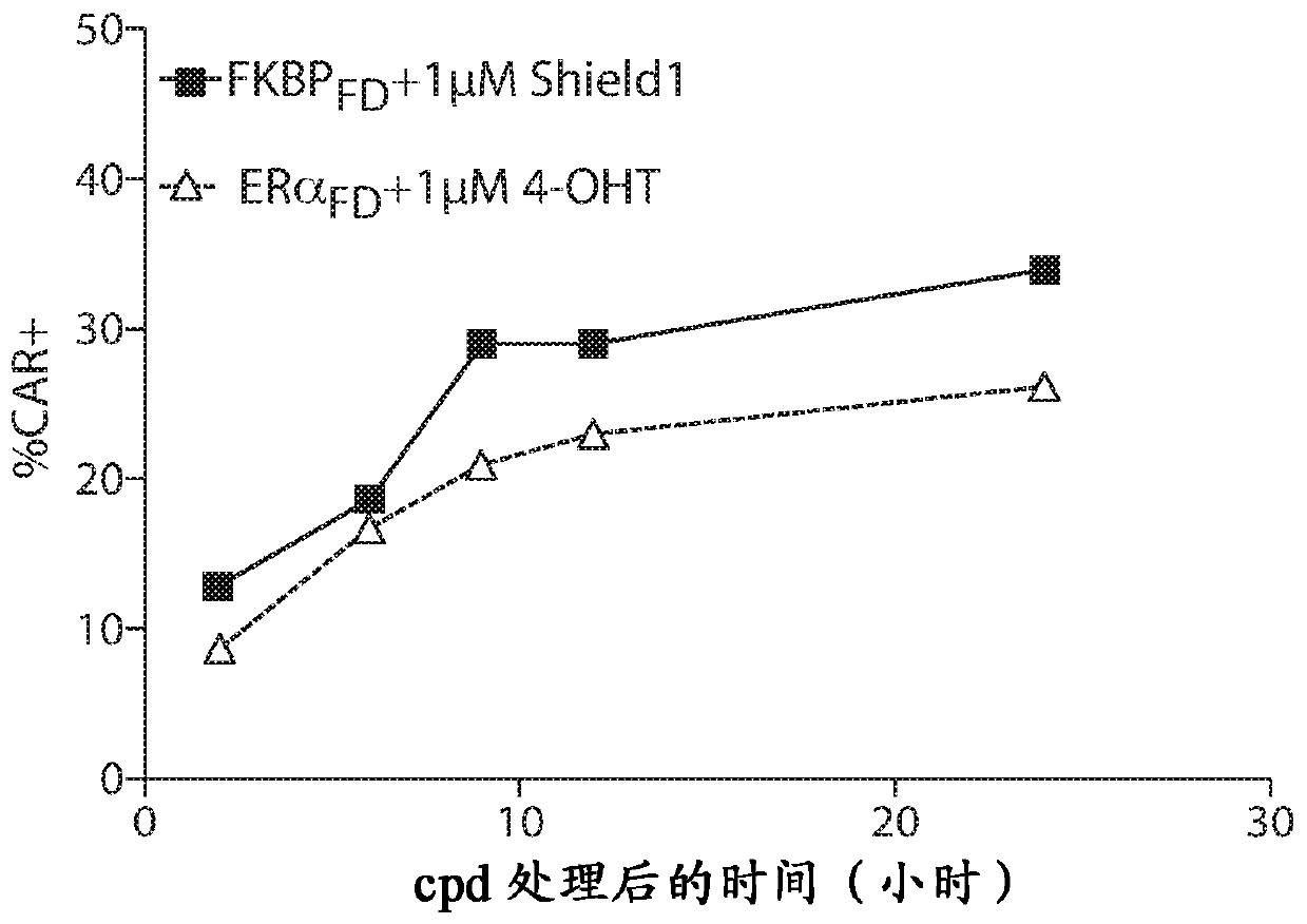 Compositions and methods for selective protein expression