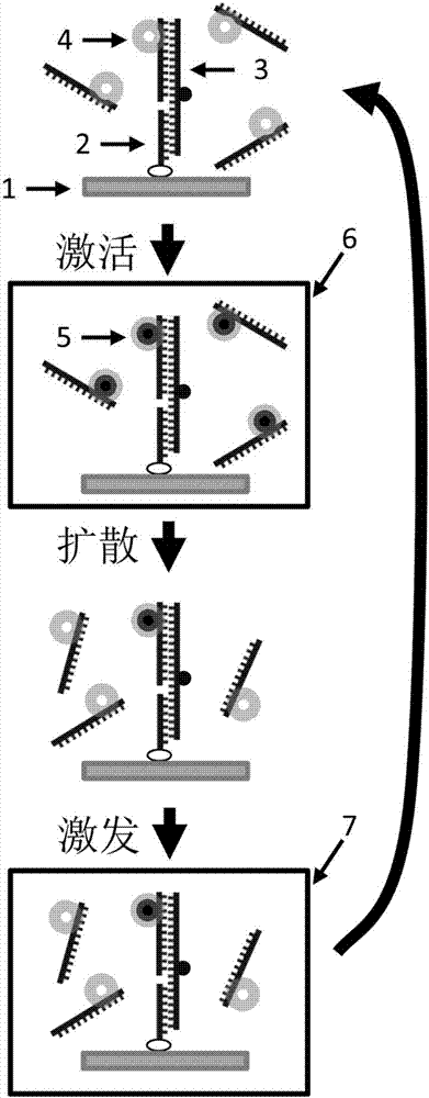 Monomolecular fluorescence resonance energy transfer method based on photo-activation