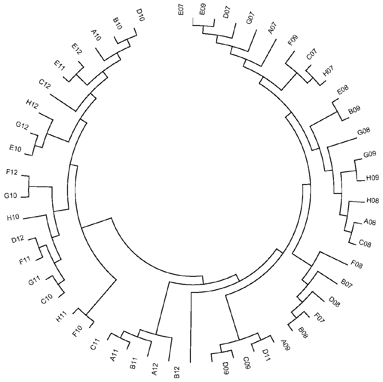 Universal SNP molecular marker panel and its application in salmon and trout