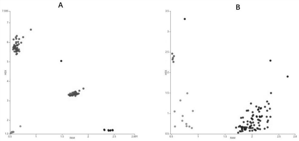 SNP (Single Nucleotide Polymorphism) marker closely linked with eggplant green fruit color Gv1 gene and application