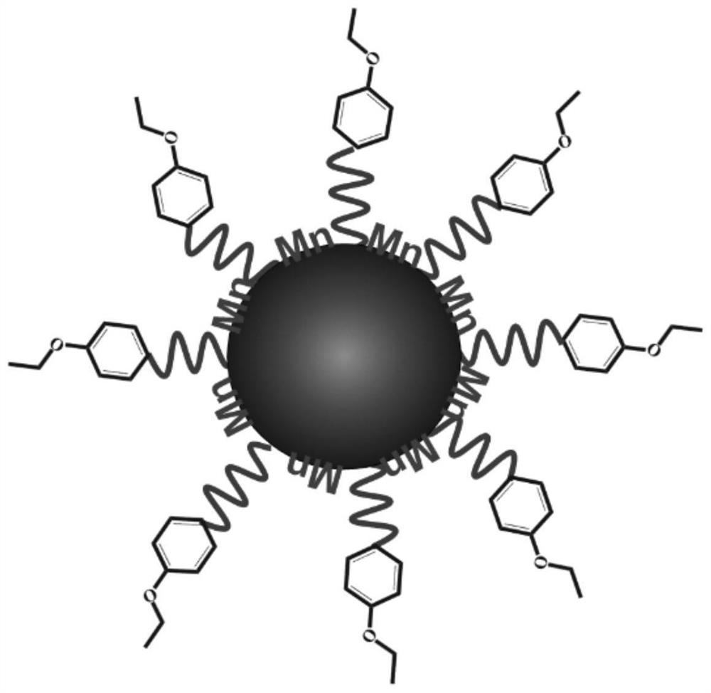 Composite ferrite nanoparticles for synergistically enhancing liver specificity as well as preparation method and application thereof