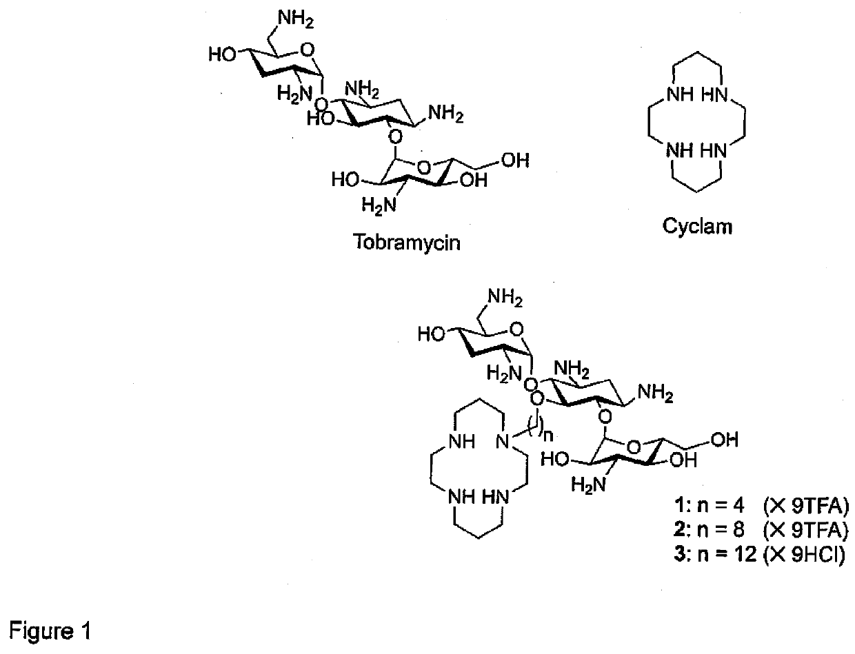 Potentiation of B-Lactam Antibiotics and B-Lactam/B-Lactamase Inhibitor Combinations Against Multidrug and Extensively Drug-Resistant Pseudomonas Aeruginosa Using Non-Ribosomal Tobramycin-Cyclam Conjugates