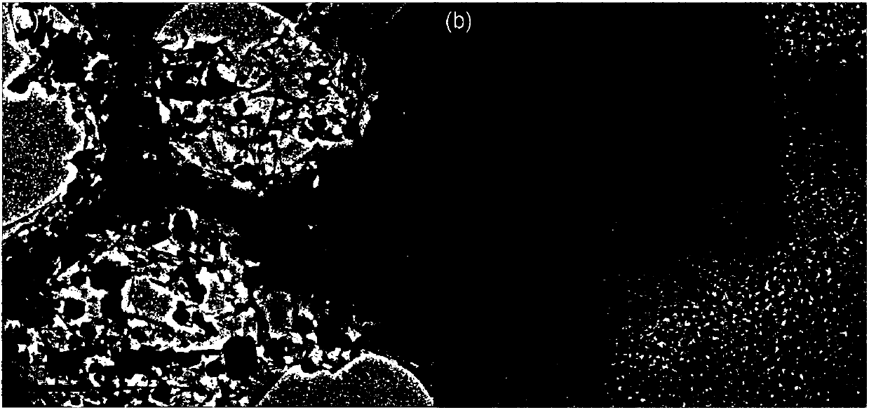 Preparation method of graphene-supported iron oxide nanoparticle composite wave-absorbing agent