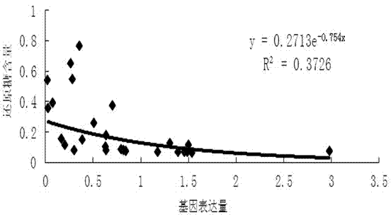 Alpha-amylase repressor SbAAI1 gene and protein as well as application of gene