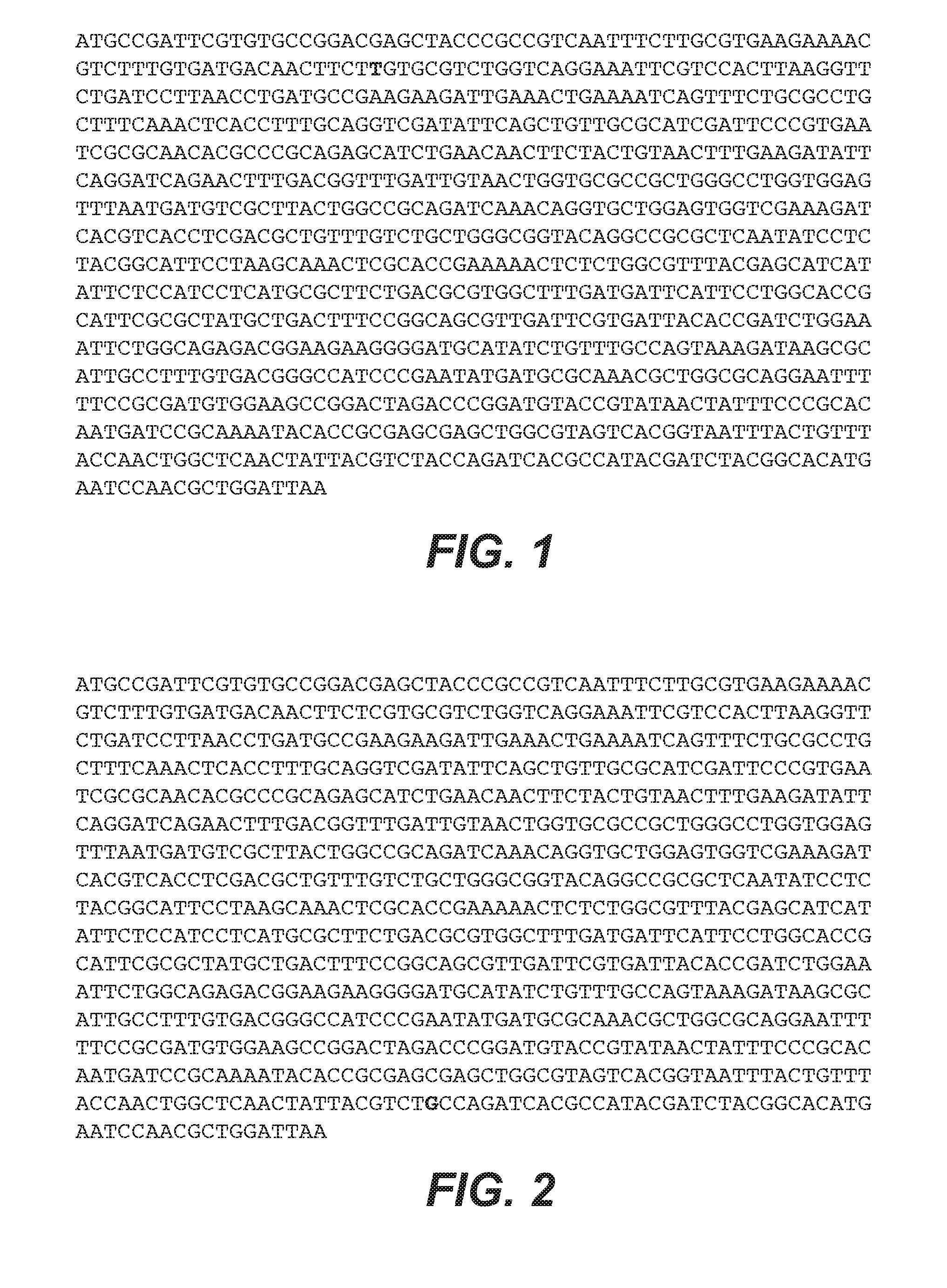 Methods and compositions for preventing norleucine misincorporation into proteins