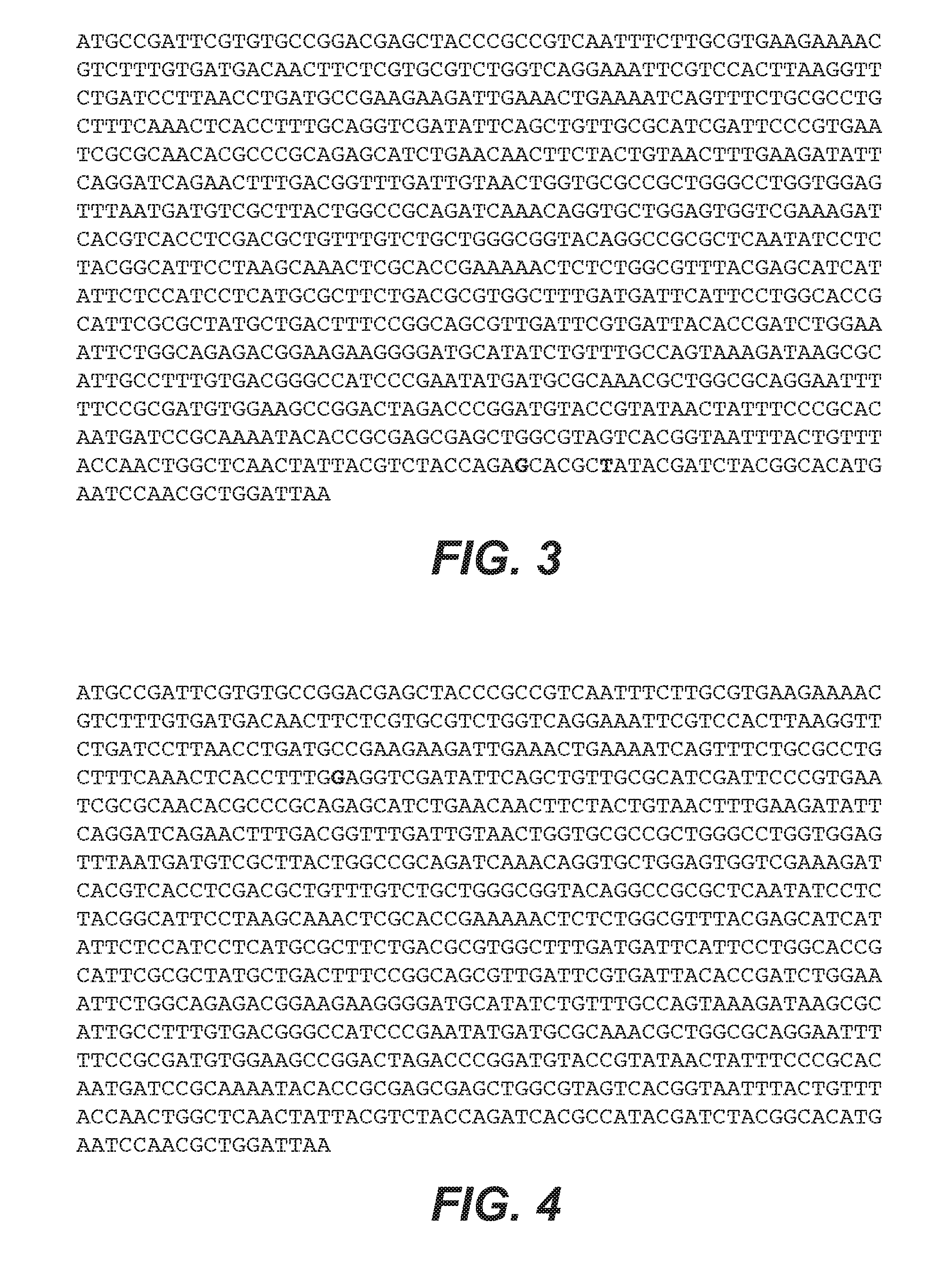 Methods and compositions for preventing norleucine misincorporation into proteins