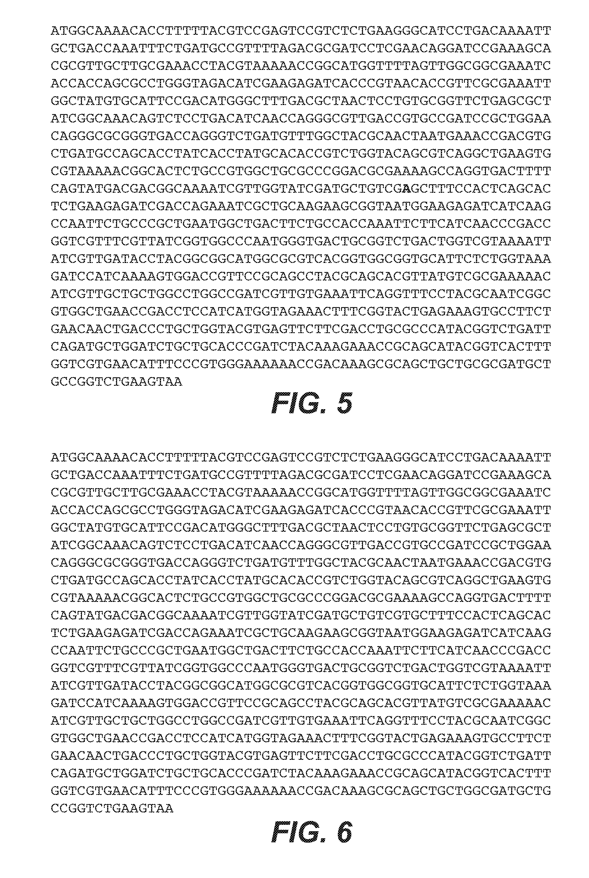 Methods and compositions for preventing norleucine misincorporation into proteins