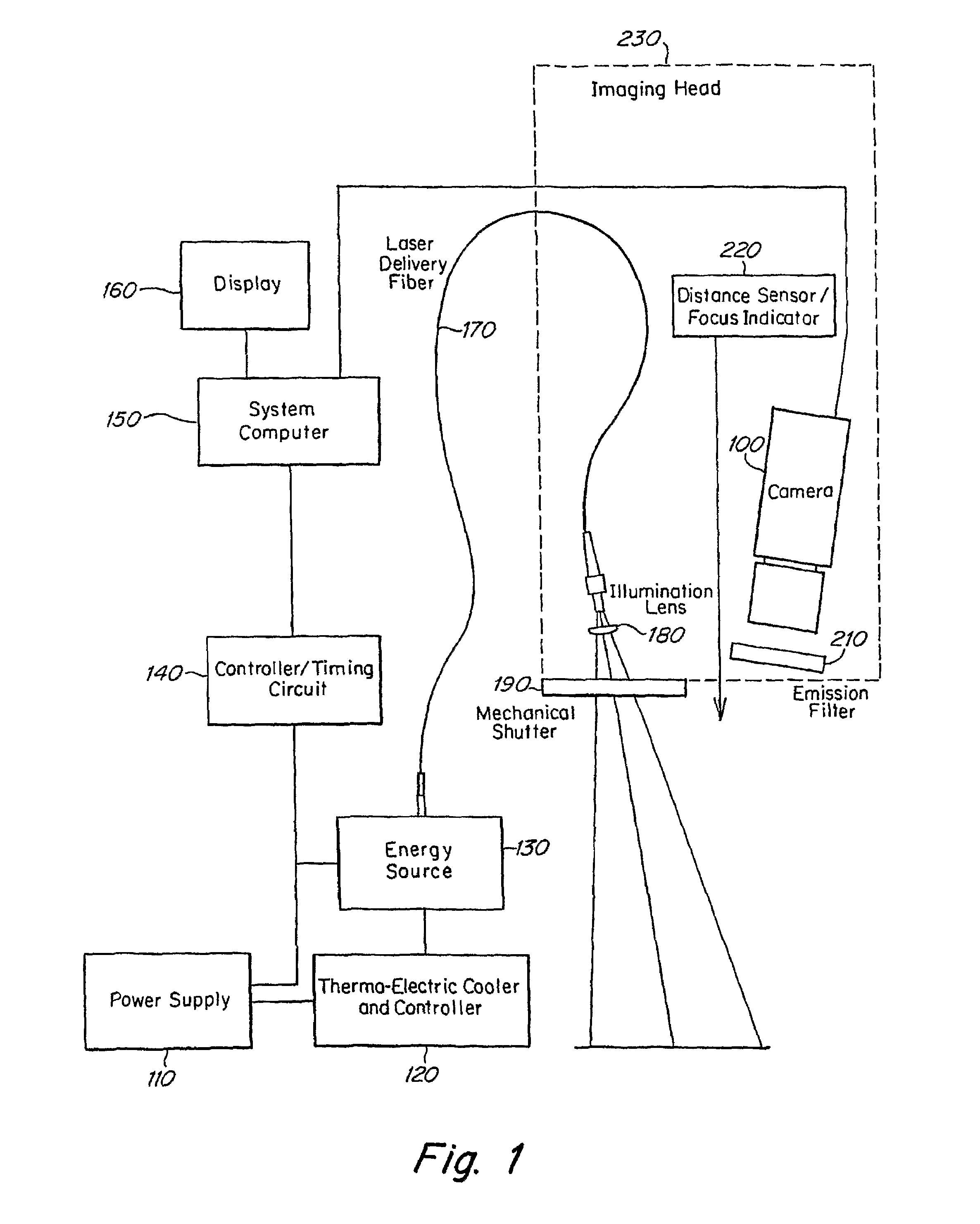 Method and apparatus for vasculature visualization with applications in neurosurgery and neurology