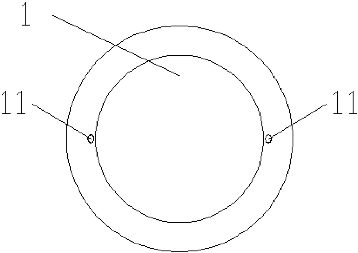 Magnetic bead for treatment under endoscope