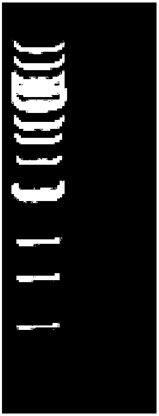 Tbc1d14 gene over-expression adenovirus vector as well as building and packaging methods of vector