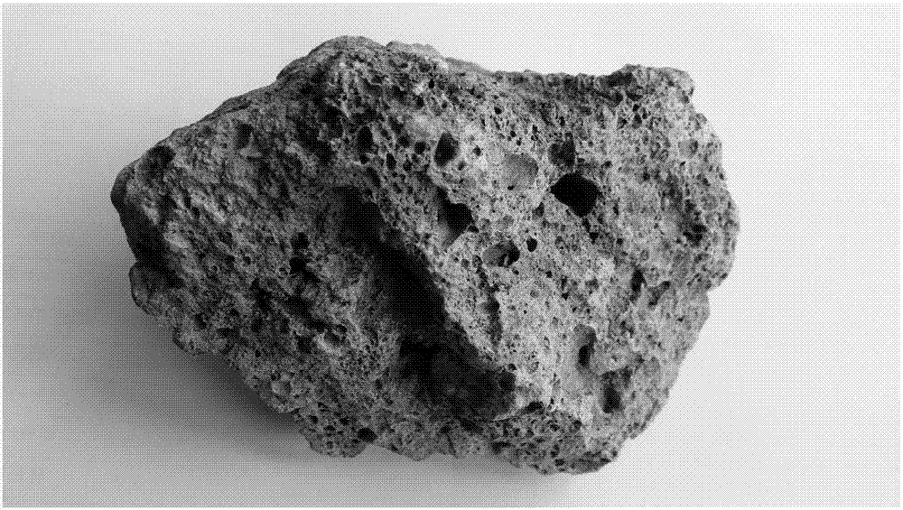 Biologically-active porous coarse-aggregate ecological bank-protecting matrix engineering material