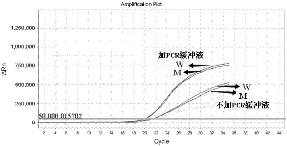 Primers, probe and kit for detecting ALDH2 (aldehyde dehydrogenase gene2) gene polymorphism