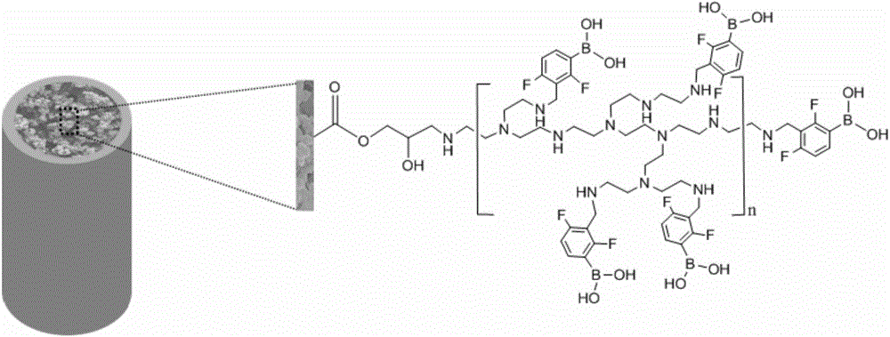 Branched boric acid functionalized monolithic column and preparation method and application thereof