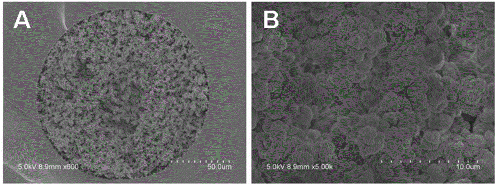 Branched boric acid functionalized monolithic column and preparation method and application thereof