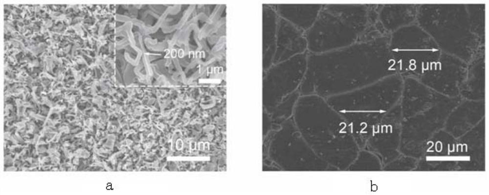 A kind of lithium metal battery electrolyte containing compound additive and preparation method thereof