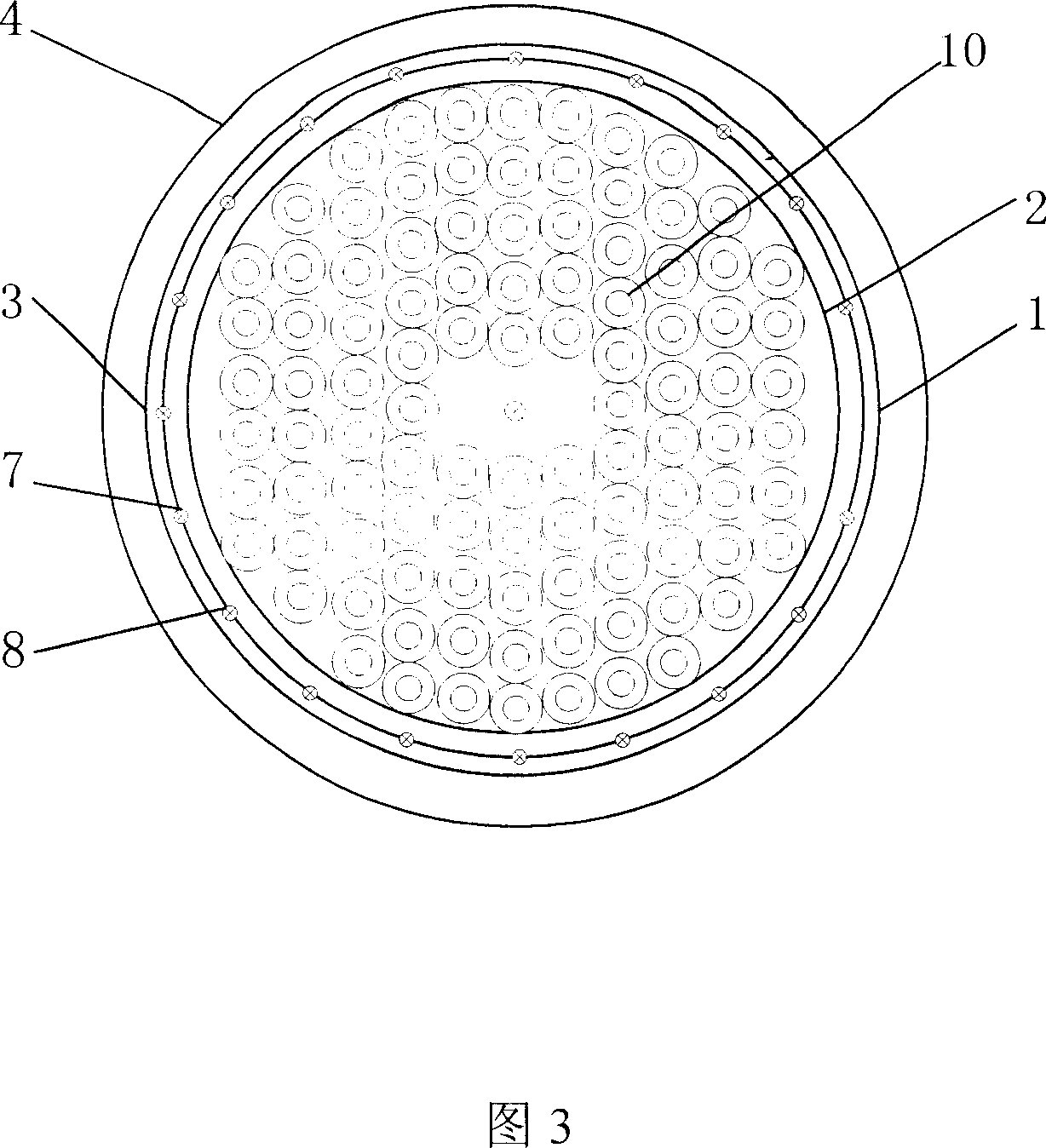 Process and device for coating-free electrical steel annealing and bluing